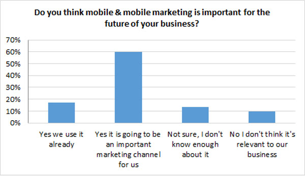 mobile marketing importance mobile marketing importance