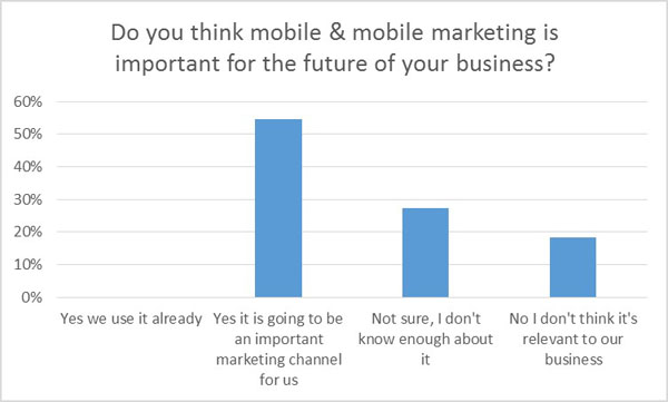 Importance of mobile marketing