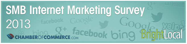 SMB internet survey 2013