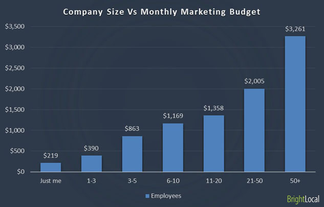 Marketing budget and company size