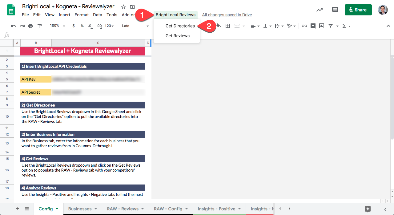 BrightLocal and Kogneta Reviewalyzer