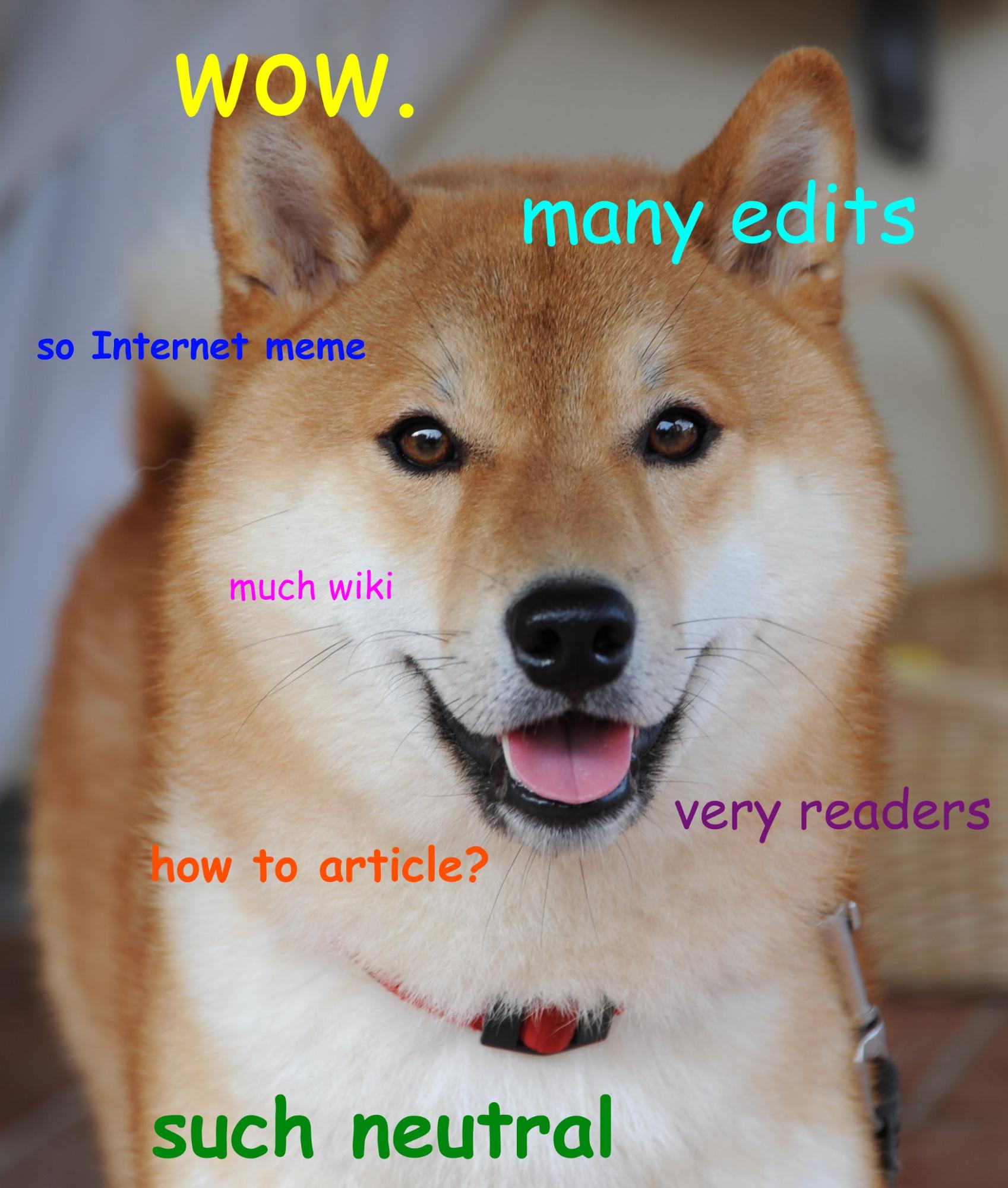 Doge meme
