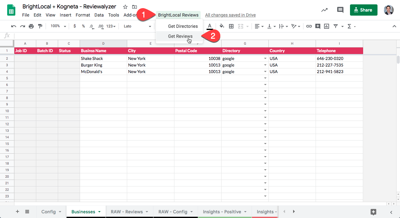 Get Reviews Reviewalyzer