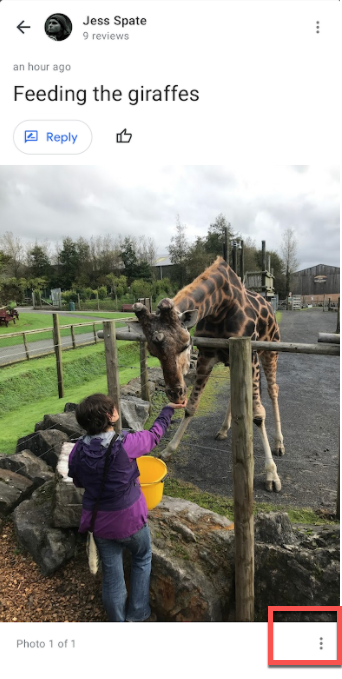 Google My Business Photo Updates Screenshot 13