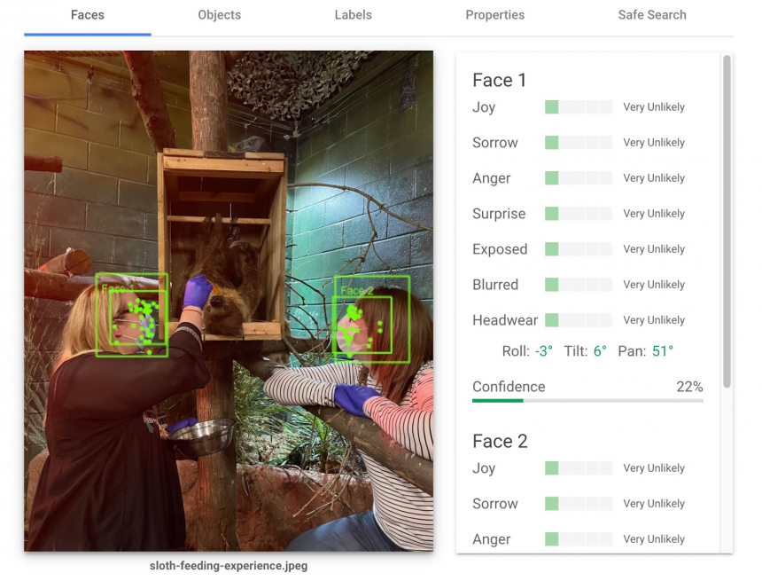Google Image Face Detection