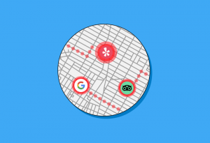 Tracking the Status of Local Citations