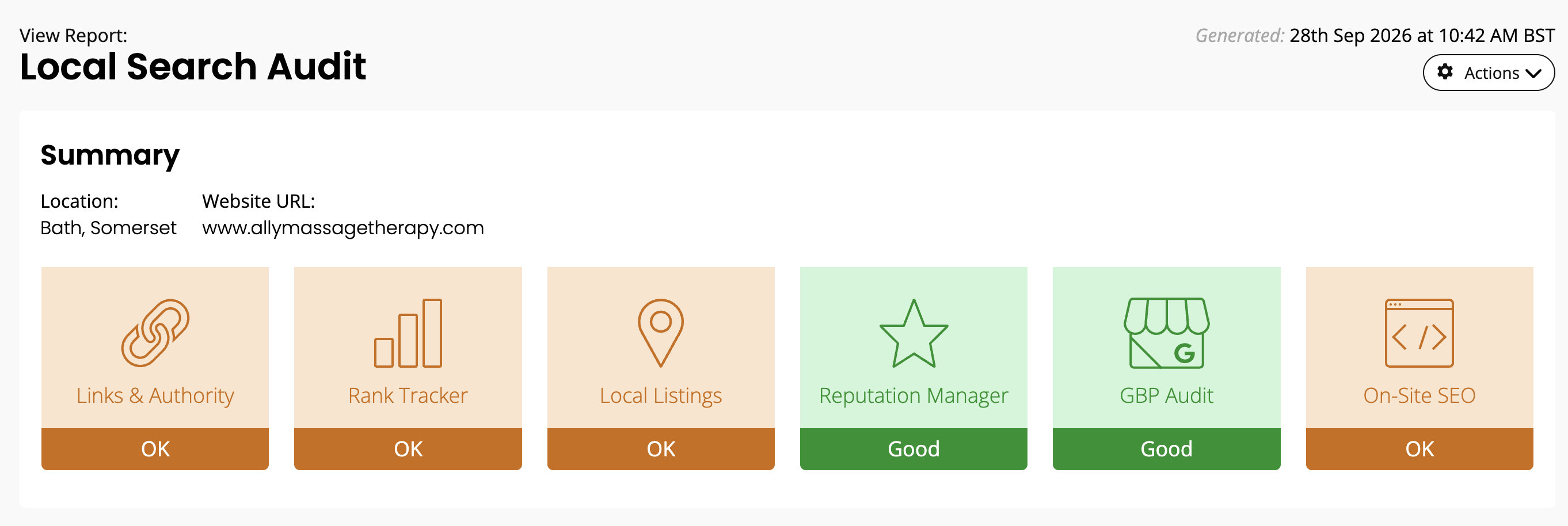 Local search audit tool