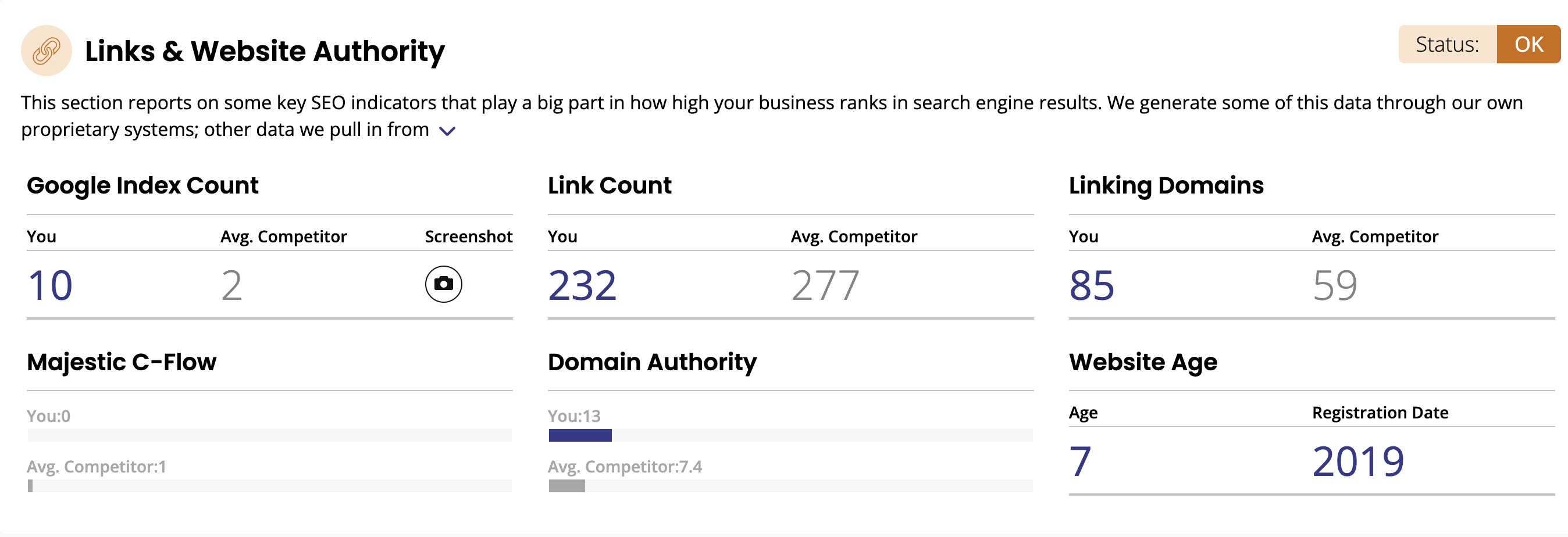 Local search audit tool 